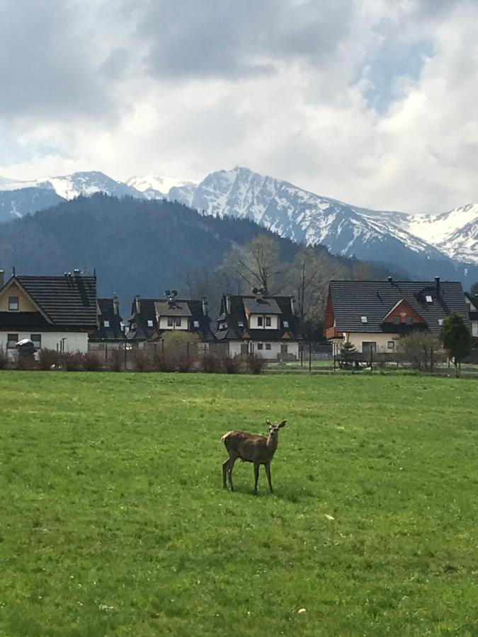 Apartamento Jumper Widok Na Cale Tatry Lazienka Nie Jest W Pokoju