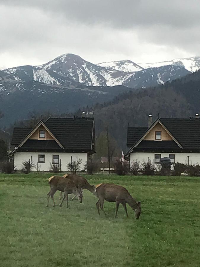 Jumper Widok Na Cale Tatry Lazienka Nie Jest W Pokoju Apartamento *