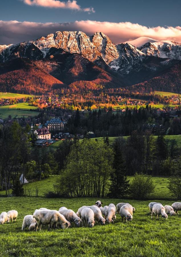 Apartamento Jumper Widok Na Cale Tatry Lazienka Nie Jest W Pokoju Zakopane