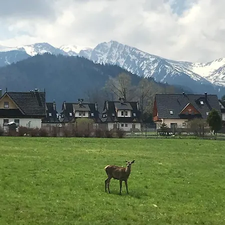 Villa Jumper Widok Na Cale Tatry Lazienka Nie Jest W Pokoju Zakopane Exterior photo