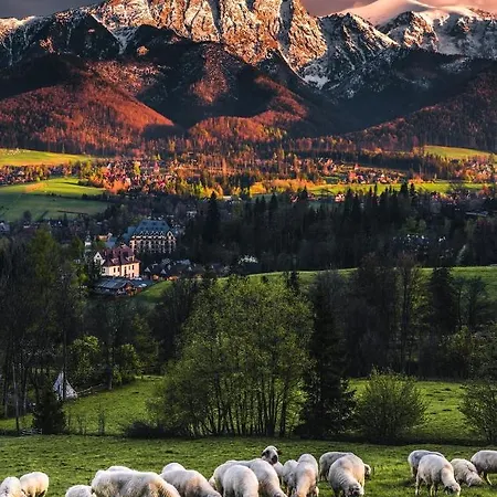 Villa Jumper Widok Na Cale Tatry Lazienka Nie Jest W Pokoju Zakopane Exterior photo